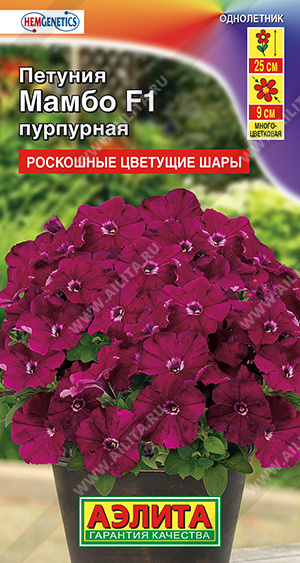   F1   - 