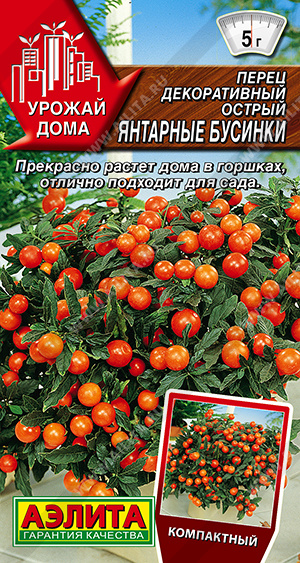 ����� ������������ ������ �������� ������� - ����