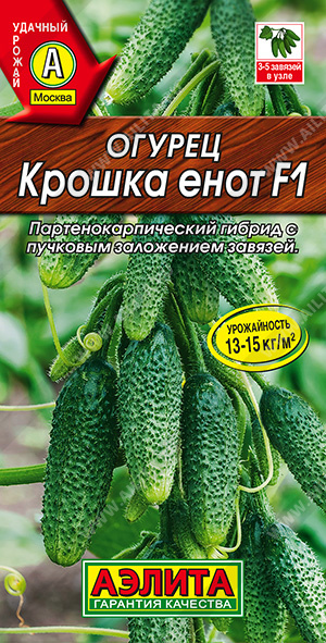    F1 - 