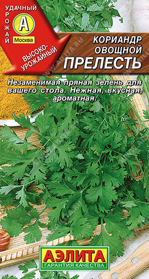 Кориандр овощной Прелесть - фото