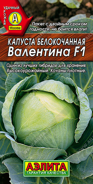  /  F1 - 