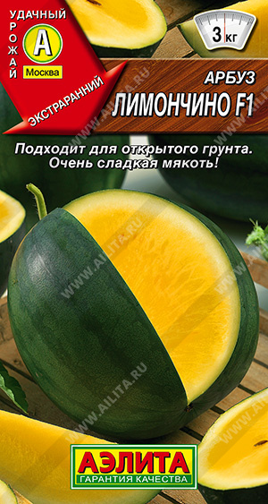   F1 - 