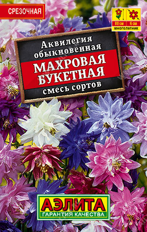 Аквилегия Махровая букетная, смесь сортов - фото Аквилегия Махровая букетная, смесь сортов - фото