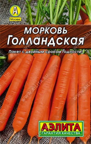 Морковь Голландская - фото