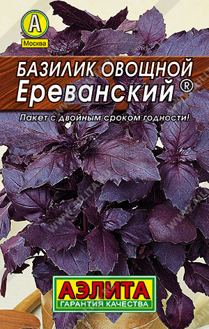Базилик овощной Ереванский  ® - фото