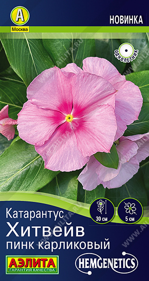 ���������� ������� ���� ���������� - ����