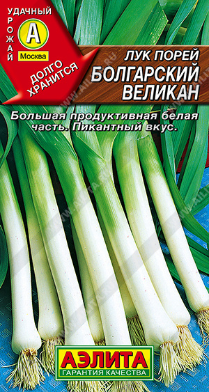 ��� ����� ���������� ������� - ����