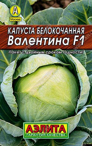  /  F1 - 