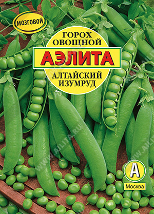 Горох овощной Алтайский изумруд - фото