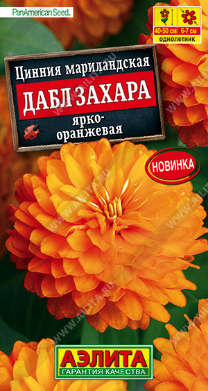 Цинния Дабл Захара ярко-оранжевая - фото