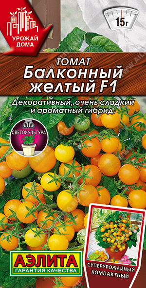 ����� ��������� ������ F1 - ����