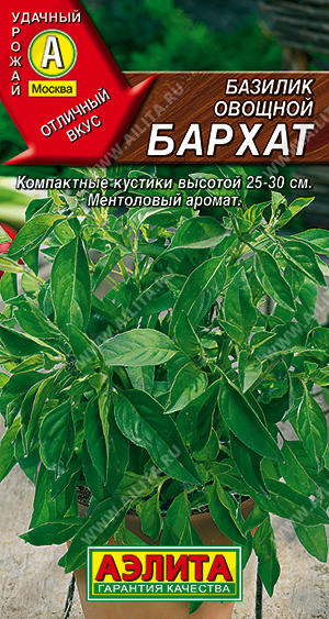 Базилик овощной Бархат - фото