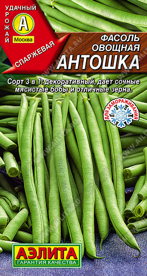 ������ ������� ������� - ����