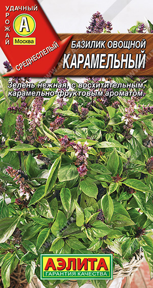Базилик овощной Карамельный - фото
