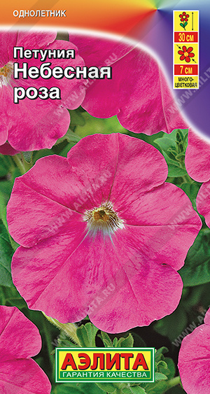 ������� �������� ���� - ����