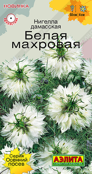 Нигелла Белая махровая - фото Нигелла Белая махровая - фото