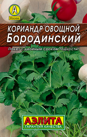 Кориандр овощной Бородинский - фото