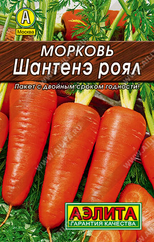 Морковь Шантенэ Роял - фото