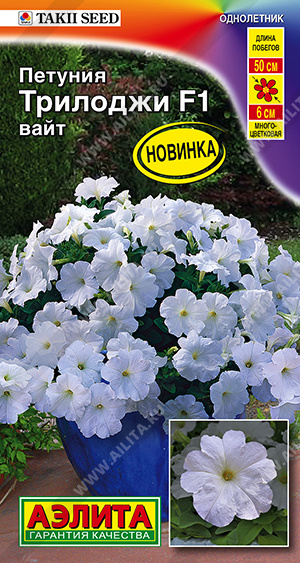 Петуния Трилоджи F1 вайт полуамельная - фото Петуния Трилоджи F1 вайт полуамельная - фото