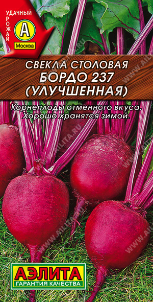 Свекла столовая Бордо 237 (УЛУЧШЕННАЯ) - фото Свекла столовая Бордо 237 (УЛУЧШЕННАЯ) - фото