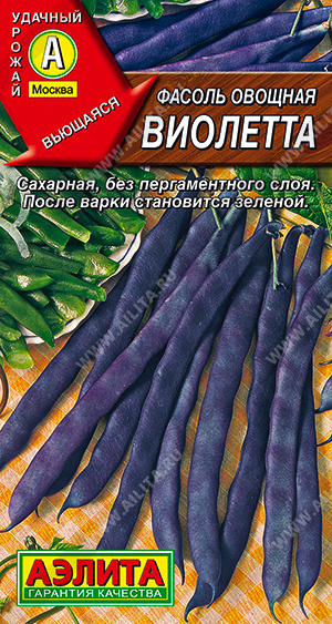 Фасоль овощная Виолетта - фото