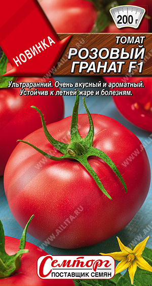    F1 - 