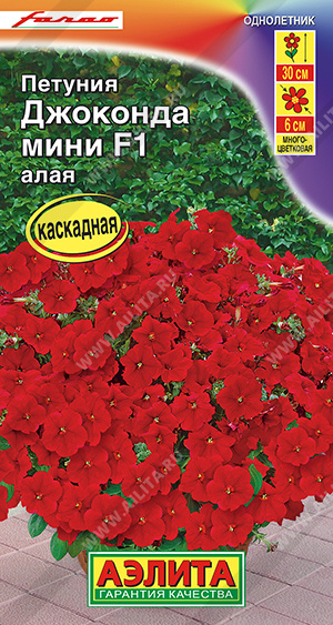    F1  - 