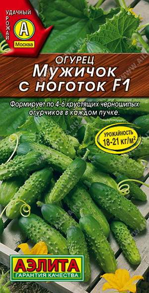     F1 - 