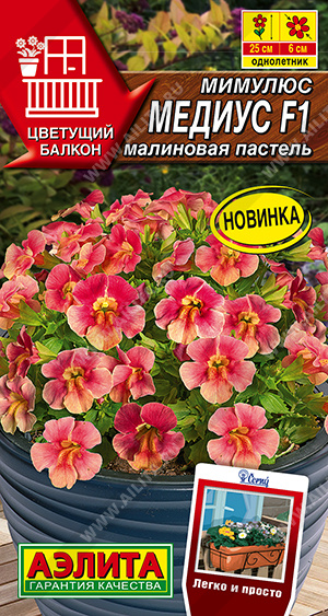 ������� ������ F1 ��������� ������� - ����