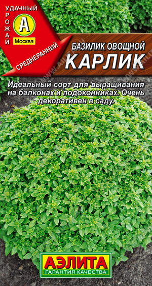 Базилик овощной Карлик - фото