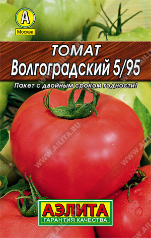 Томат Волгоградский 5/95 - фото
