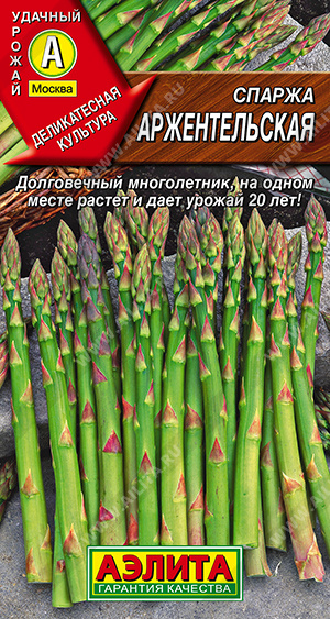 Спаржа Аржентельская - фото Спаржа Аржентельская - фото