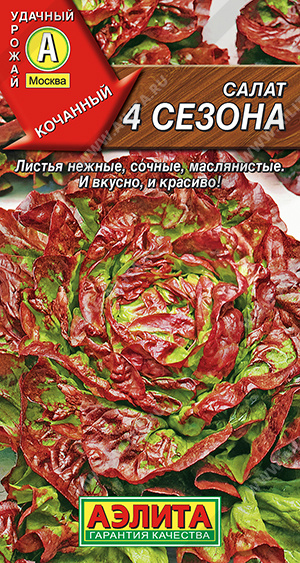  4   - 