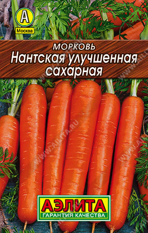 Морковь Нантская улучшенная сахарная - фото