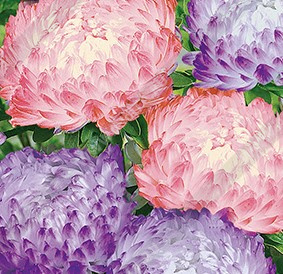 ����� ��������� �����������, ����������� ����� ������ (������-�������) - ����