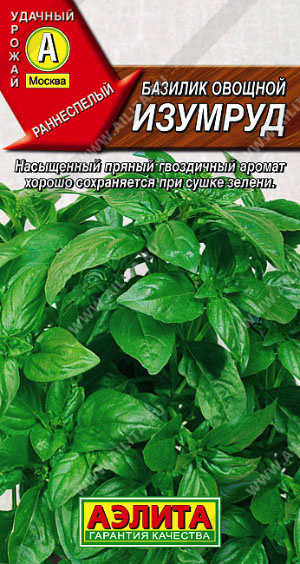 Базилик овощной Изумруд - фото