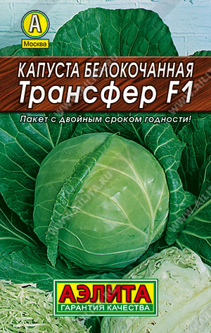  /  F1 - 