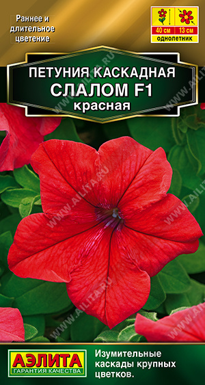 ������� ��������� ������ F1 ������� - ����