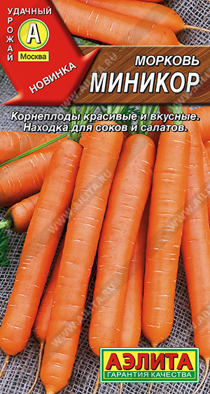 Морковь Миникор - фото