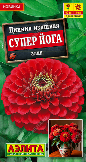 Цинния Супер йога алая - фото Цинния Супер йога алая - фото