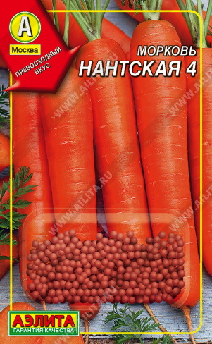 Морковь Нантская 4 - фото Морковь Нантская 4 - фото