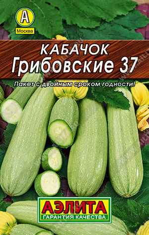    37 - 
