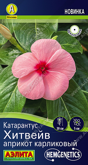 ���������� ������� ������� ���������� - ����