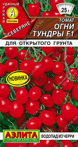    F1 - 