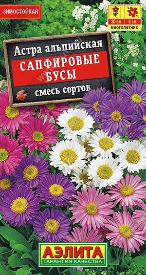 Астра альпийская Сапфировые бусы, смесь сортов - фото Астра альпийская Сапфировые бусы, смесь сортов - фото