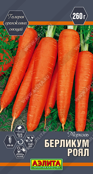 Морковь Берликум роял - фото
