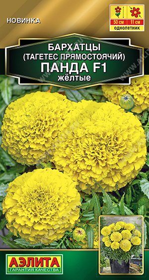   F1   - 