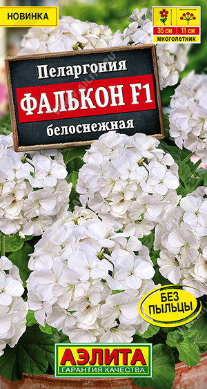 Пеларгония садовая Фалькон F1 белоснежная - фото Пеларгония садовая Фалькон F1 белоснежная - фото