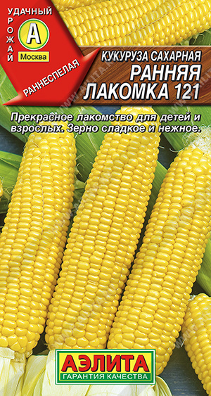      121 - 