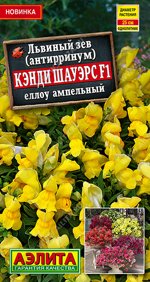 Львиный зев Кэнди Шауэрс F1 еллоу ампельный - фото